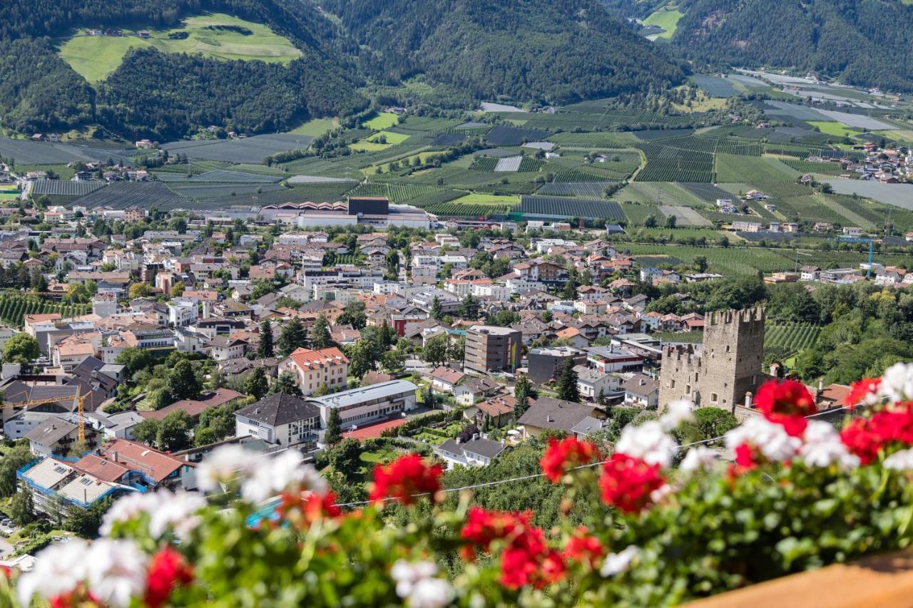 Gasthof Falkenstein Натурно Екстер'єр фото